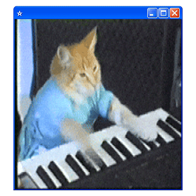 Keyboard Cat